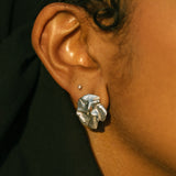 LIMPET