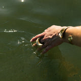 KOMBU