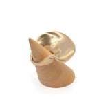 MOON SNAIL
