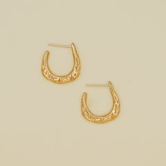 Gold hoop earrings on a beige background