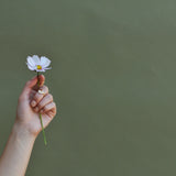 SIGNET 102 | Brass