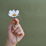 SIGNET 102 | Silver